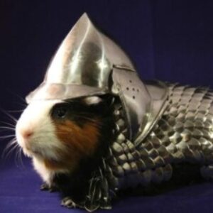 Profile photo of Meersau