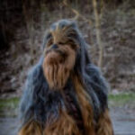 Profile photo of Alek_sander