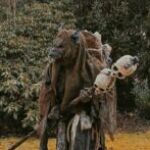 Profile photo of Best-in-slot