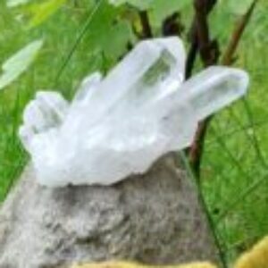 Profile photo of Noa