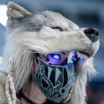 Profile photo of Draiona