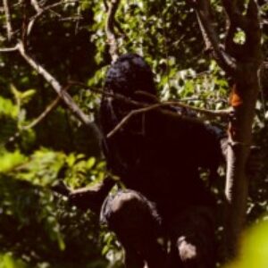 Profile photo of Rubenkanitz