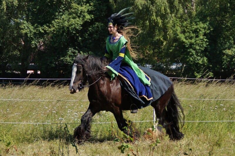 104049213_2945567038832046_8321586322799623709_o