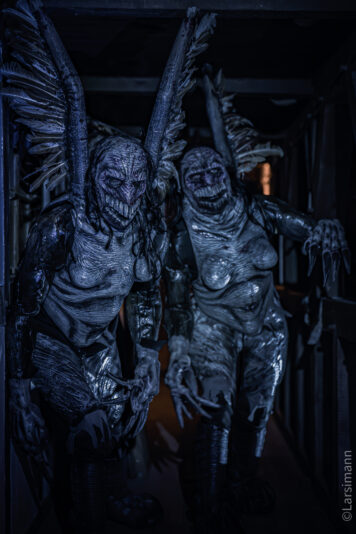 DSC07834-Enhanced-NR