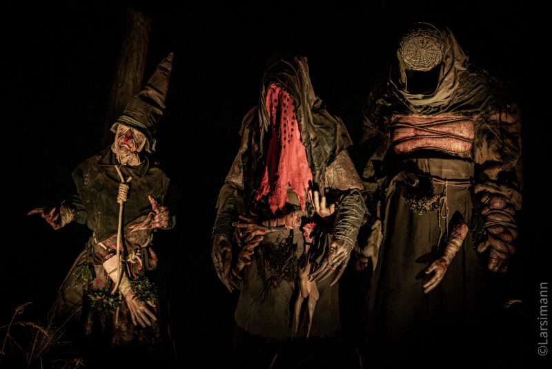 DSC08540-Enhanced-NR