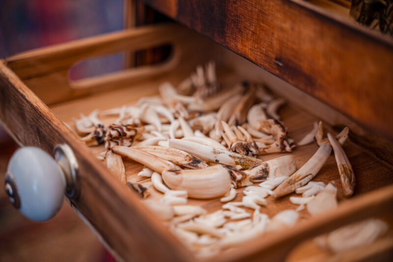 Mythodea VU 2023 (1664 von 2879)