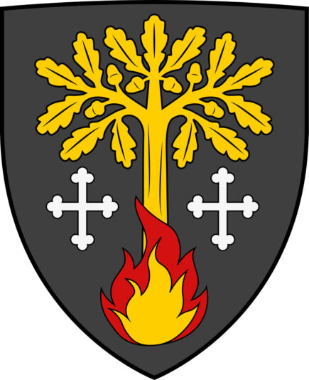 56775780_304558203552120_3867708798411997184_n